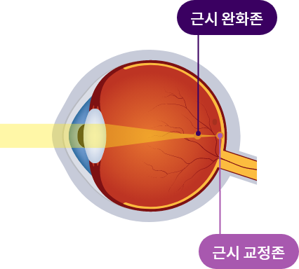 마이사이트 원리